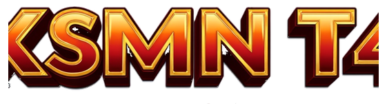 xsmn t4 logo